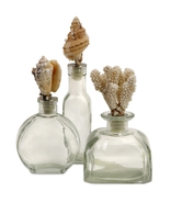 Beach Shells Glass Bottles - Set of 3