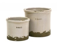 Basil Sage Pots - Set of 2