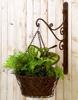 Green-Brown Wall Bracket and Basket