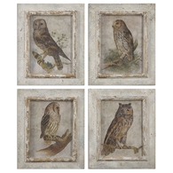 Owls Framed Art - Set of 4