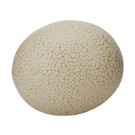 Tofu Ostrich Egg